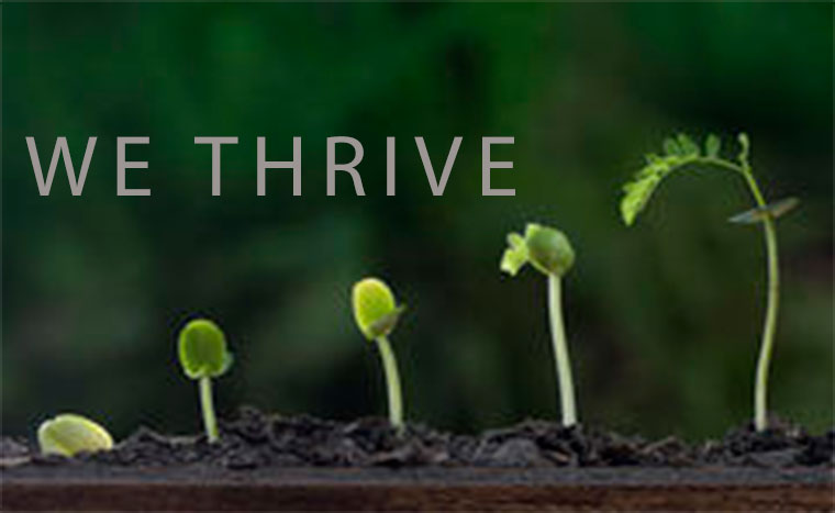 Thrive Life